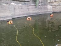 घर देरी से आने पर डांटा तो छात्र नाडी में डूबा