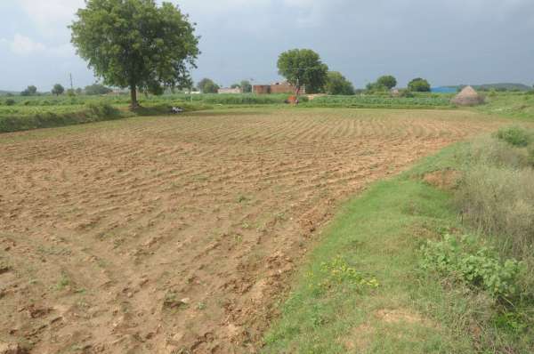 तोपखाना बांध की जमीन पर लोगों ने किया अतिक्रमण