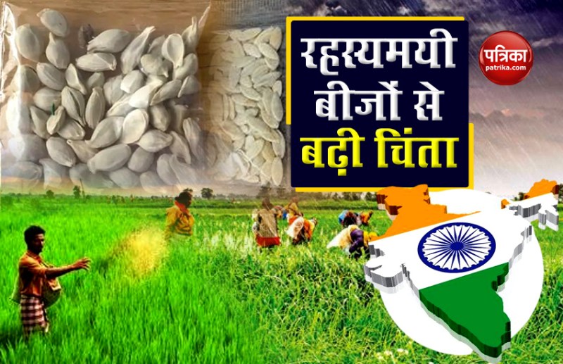 Mysterious seed poses threat central government warns states