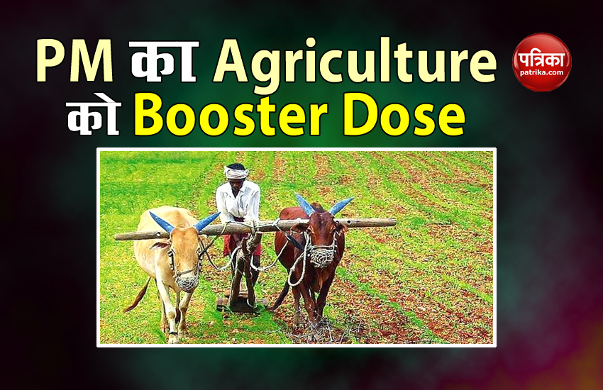 How will improvement in agriculture sector with PM Modi's Booster Dose