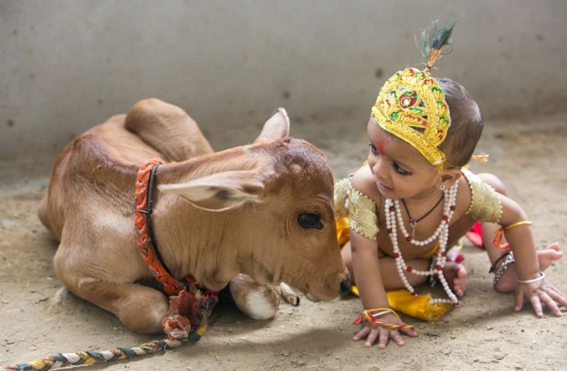 जन्माष्टमी विशेष...बांसुरी में कृष्ण के स्वरों का जादू