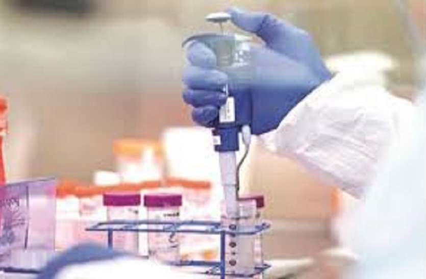 Alwar Corona News: 200 Covid Samples Will Test In Alwar District Daily