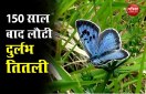 Corona काल के बीच 150 साल बाद देखी गई सबसे बड़ी दुर्लभ तितली, पूरी तरह हो चुकी थी विलुप्त