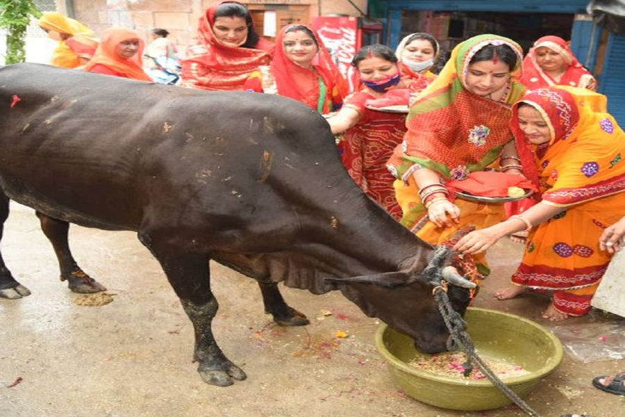 आओ रे म्हारा हंसराज... बछराज...