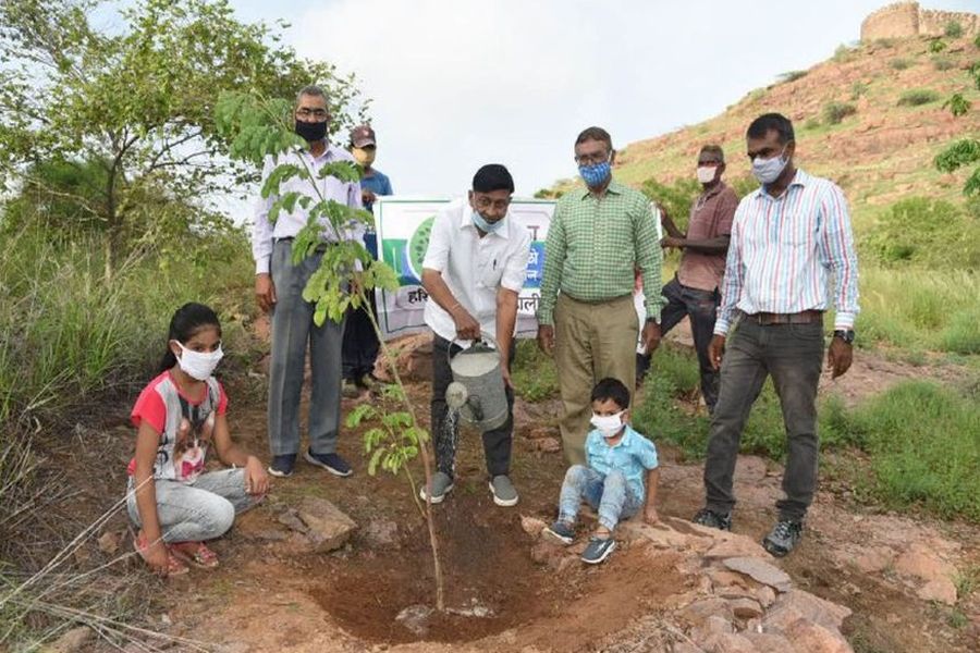 जोधपुर में रिमझिम फुहारों के बीच 'हरयाळो राजस्थान