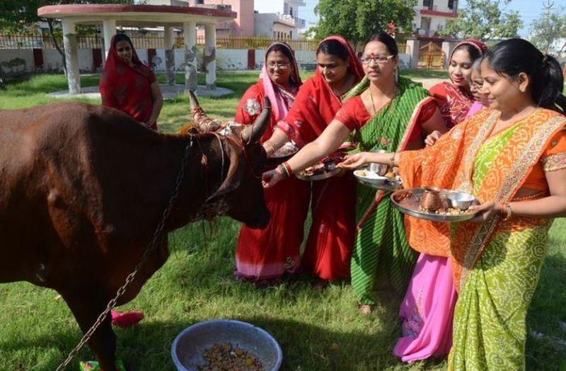 bachbaras pujan ajmer