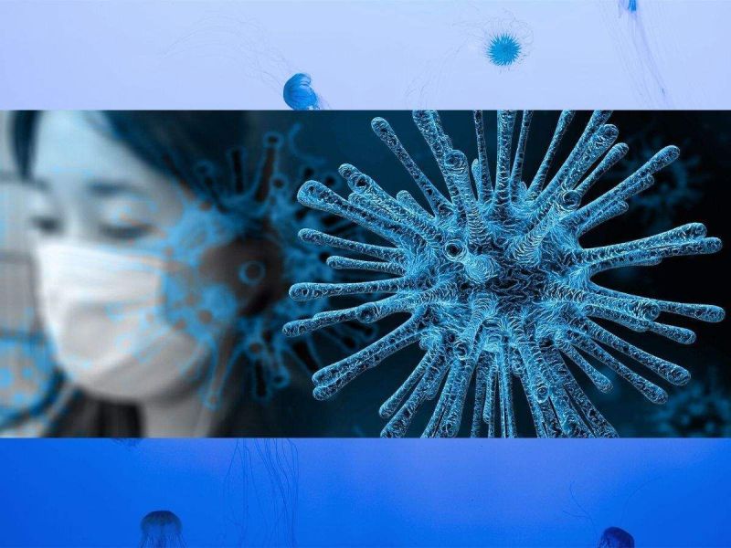 कोरोना के बाद अब चीन का यह नया वायरस मचा सकता है दुनिया में तबाही