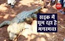 बारिश के बाद बाढ़ से सड़कों पर मगरमच्छ, छिपा था बेंच के नीचे, देखते ही लोगों फूल गए हाथ-पांव