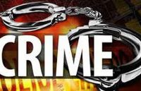 Illegal liquor served at Vatika-Dhabas in Bhilwara