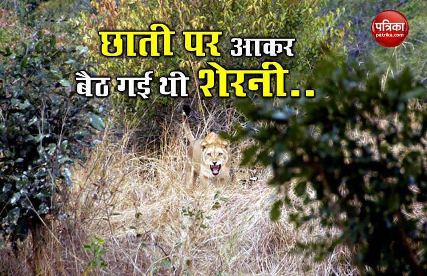 Man Fights Off Lioness In Gujarat