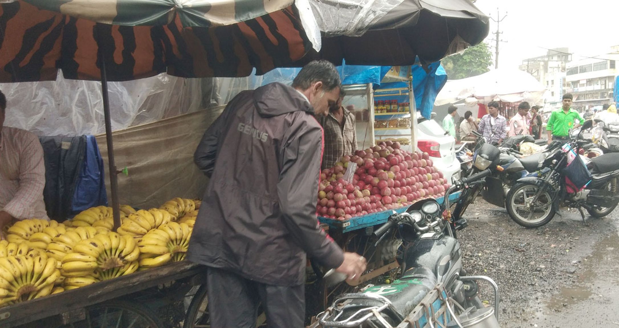 कश्मीर व हिमाचल में सेब के उत्पादन में गिरावट