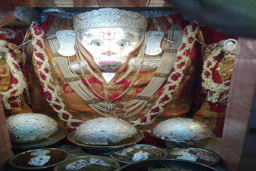 विनायक मंदिर रहे वीरान, घर घर विराजे बप्पा