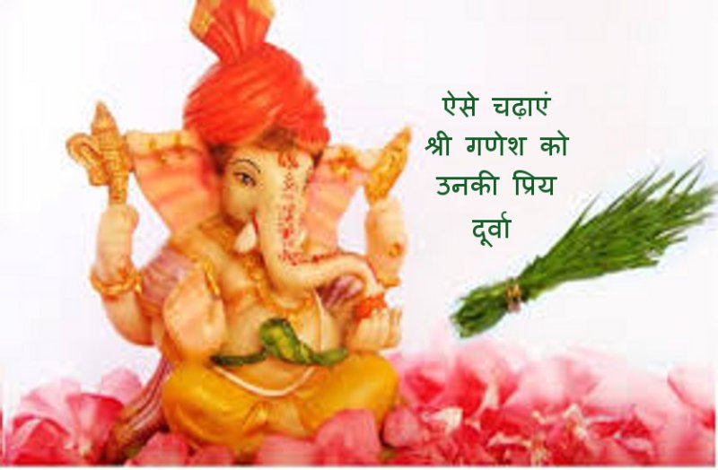 Holy rules to offer Durva on shri Ganesh
