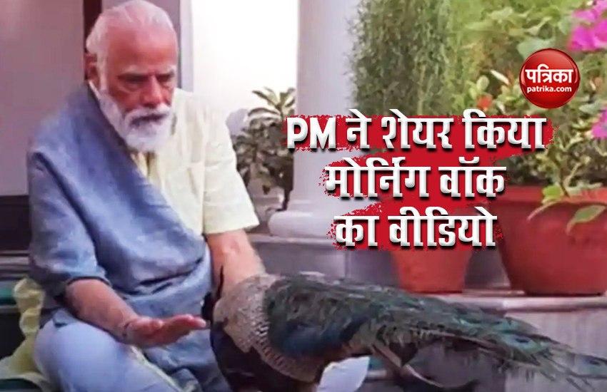 PM Narendra Modi ने शेयर किया Morning walk का VIDEO, राष्ट्रीय पक्षी को दाना खिलाते दिखे