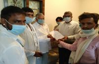 udad kee phasal mein peeliya rog in bhilwara