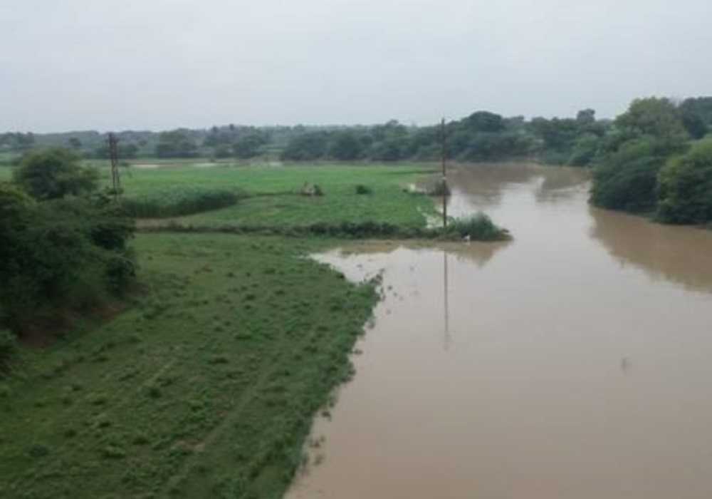 सेंगुर नदी का जलस्तर बढ़ने से किसानों की बढ़ी मुसीबत, दर्जनों गांव के खेतों में घुसा पानी