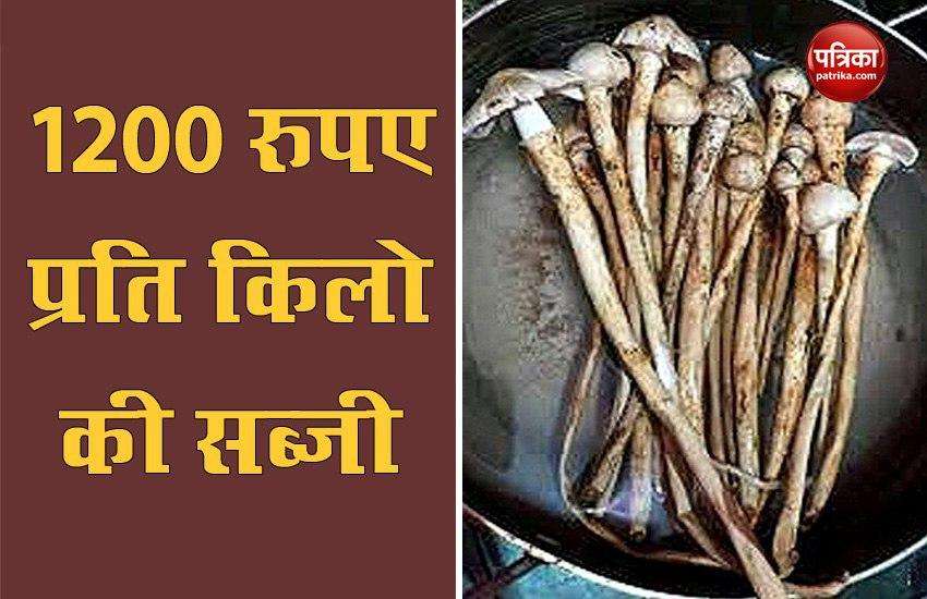 Khukhadi: देश में सबसे महंगी बिकती है ये सब्जी, कीमत 1200 रुपए प्रति किलो