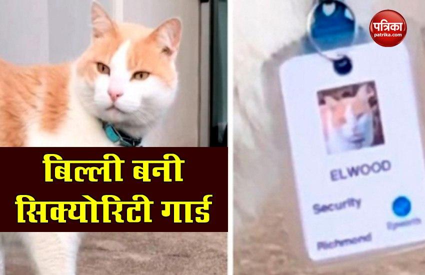 Cat Elwood Who Gets Hired As Security Guard In Australia Hospital