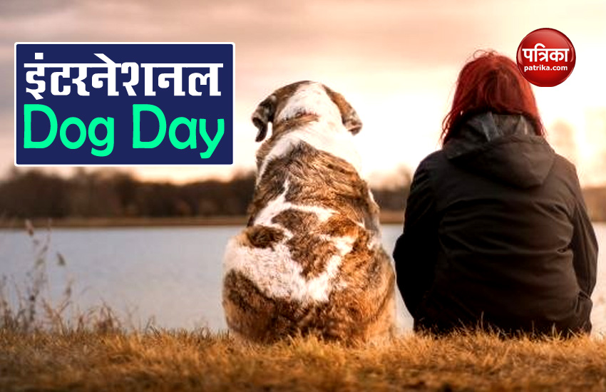 International Dog Day 2020
