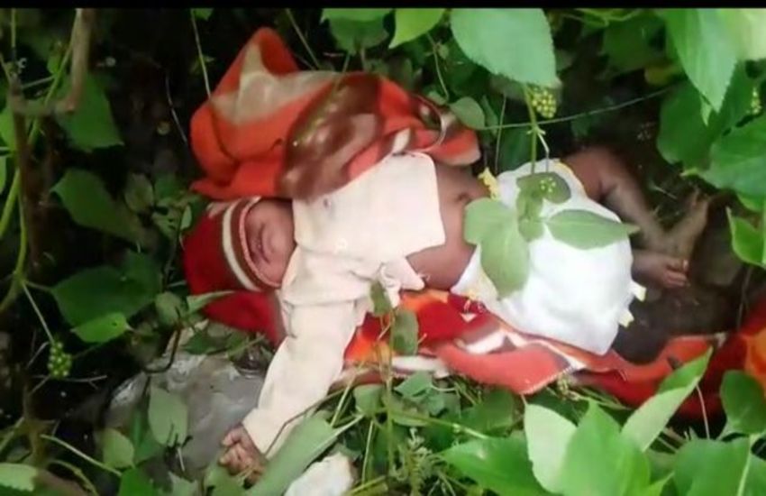 फिर कांटों में फेंक दिया फूल को...