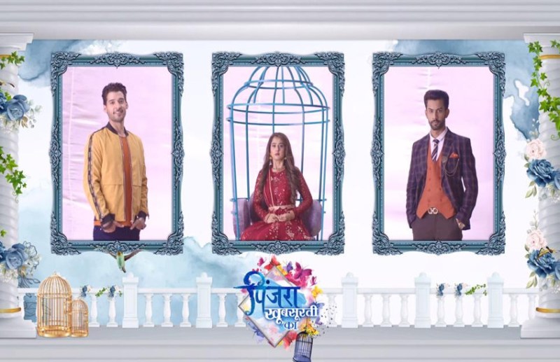 Pinjara Khoobsurati Ka