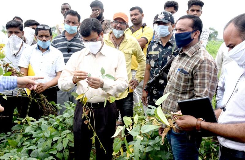 कलेक्टर पहुंचे किसानो के खेतों में