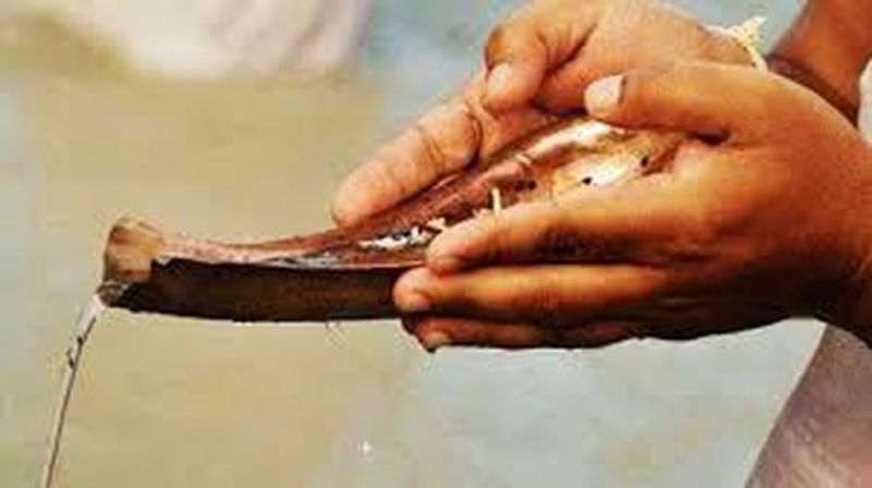 pitru paksha इस बार पितृ तर्पण को पंडितों का मिलना होगा मुश्किल