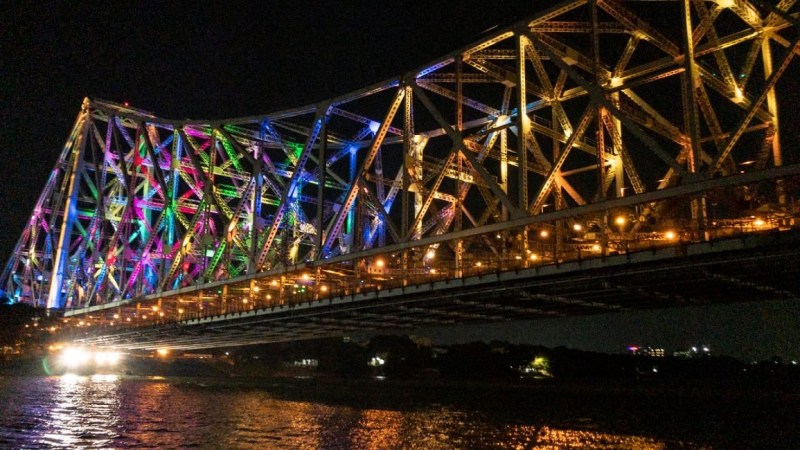 बंगाल की राज्य पशु फिशिंग कैट के अस्तित्व पर संकट