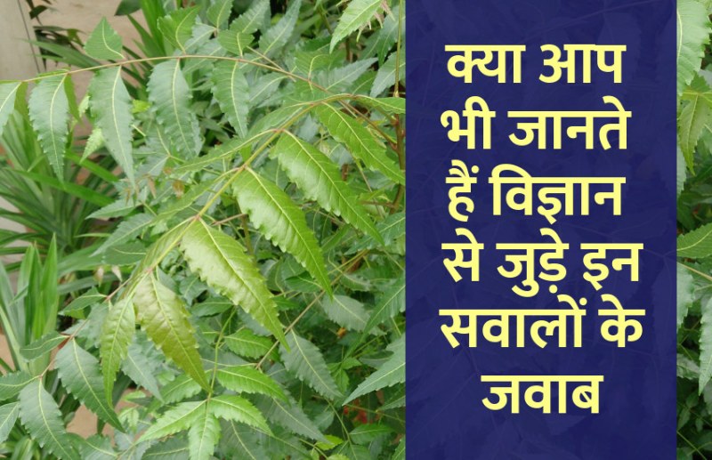 Education, interview, exam, online test, rojgar samachar, interview tips, online exam, Mock Test, general knowledge, GK, interview questions, jobs in hindi, rojgar, competition exam, mock test paper, sarkari job, questions Answers, GK mock test, General Science Questions, Questions and answers, common general knowledge questions and answers, common general knowledge questions and answers