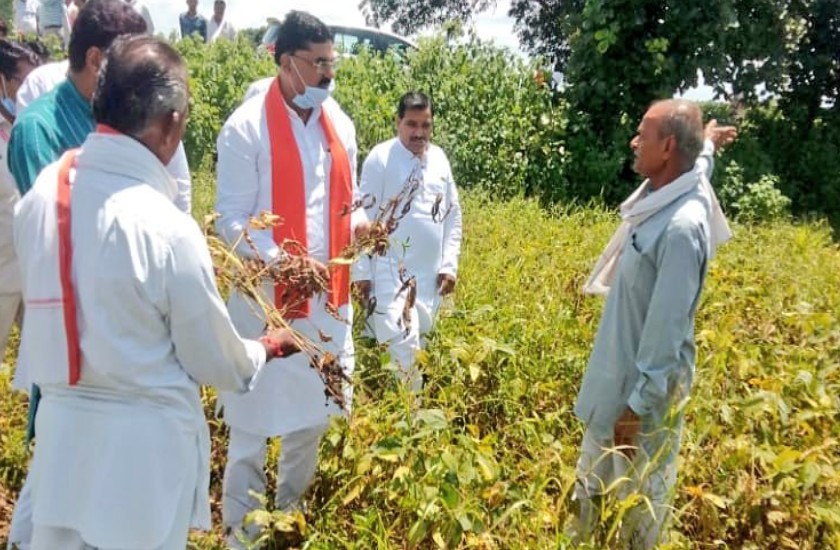 कृषि मंत्री ने किया बाढ़ प्रभावित क्षेत्रों का दौरा, कहा- किसान परेशान ना हों सरकार उनके साथ है