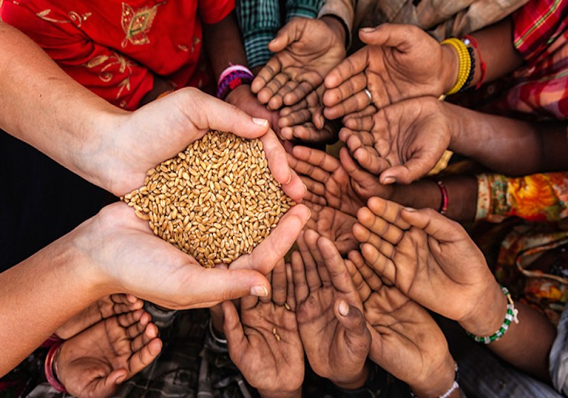 Crores of nutrition not distributed in Nagaur