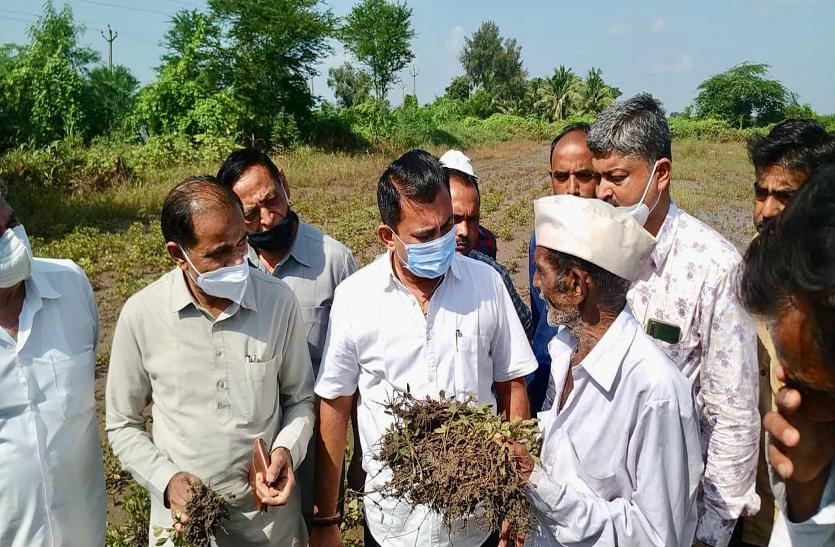'भाजपा सरकार तत्काल करे किसानों की मदद'