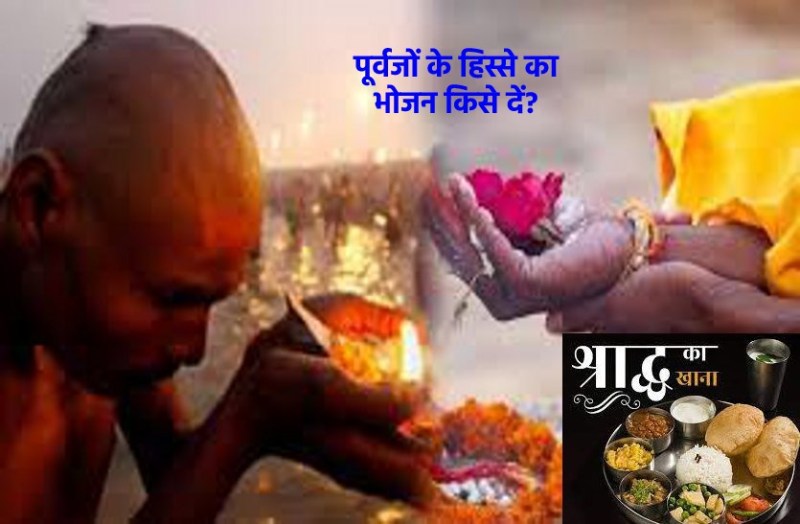 Who should give food to the ancestor's share in Shraddhas