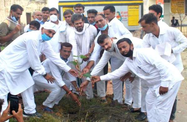 congress-workers-celebrated-birthday-of-sachin-pilot