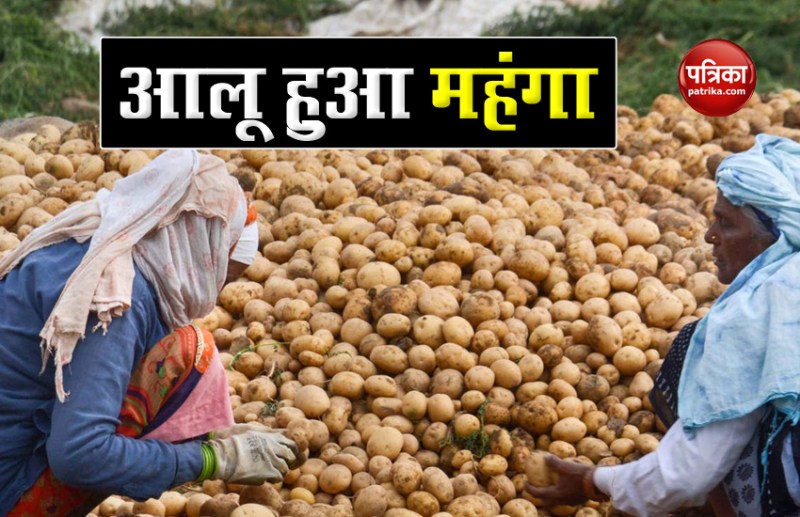 Potato Price Rise