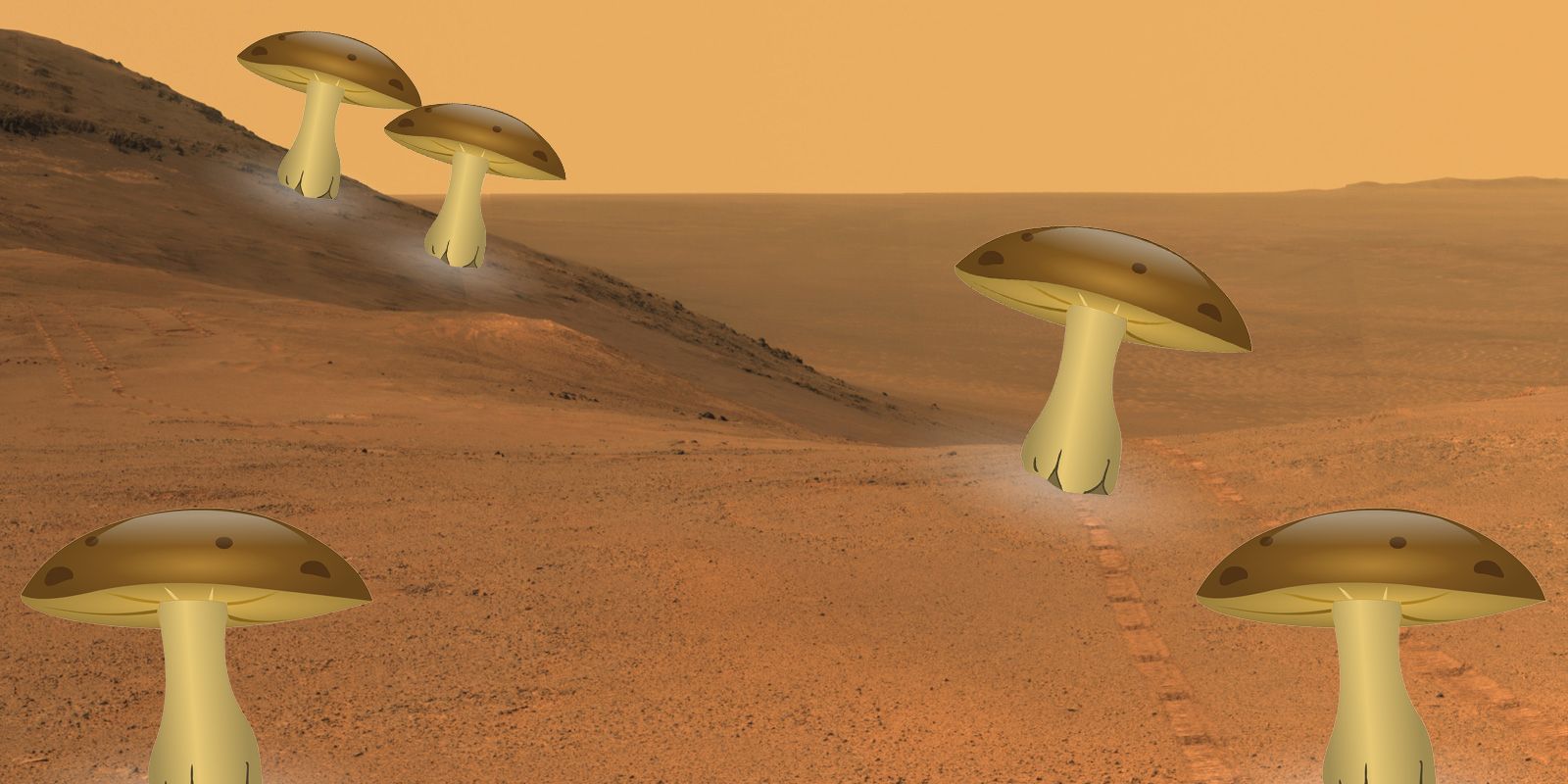 मंगल पर घर बनाएंगे नहीं बल्कि उगाएंगे, नासा के अंतरिक्ष यात्री