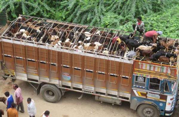 increased-risk-of-corona-in-tonk