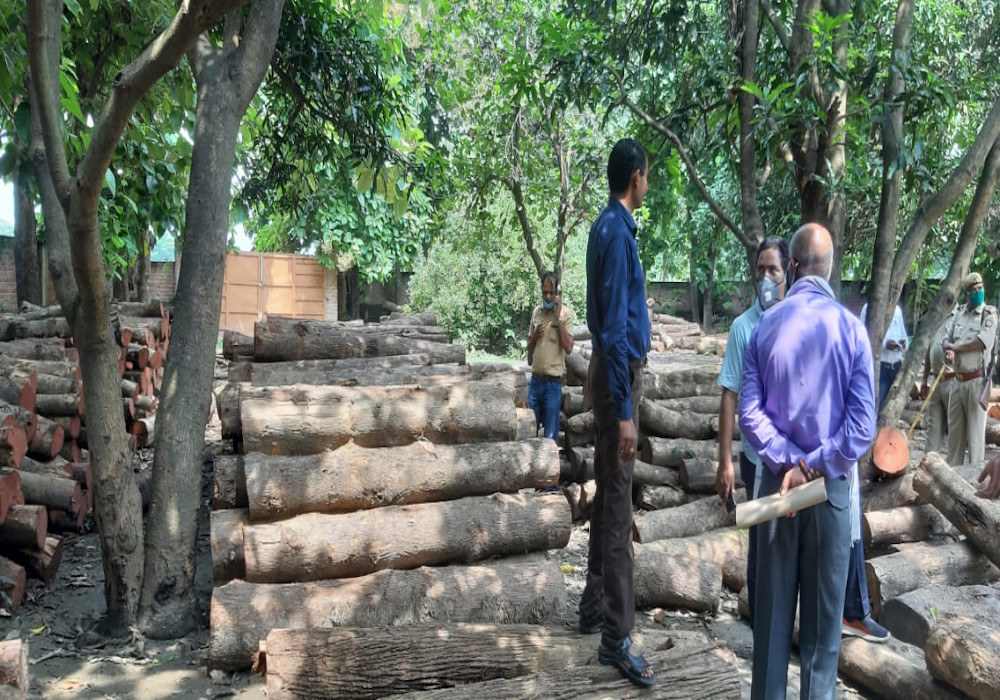 वन विभाग की टीम ने मारा छापा, बरामद हुई सैकड़ों लकड़ियों की बोटी