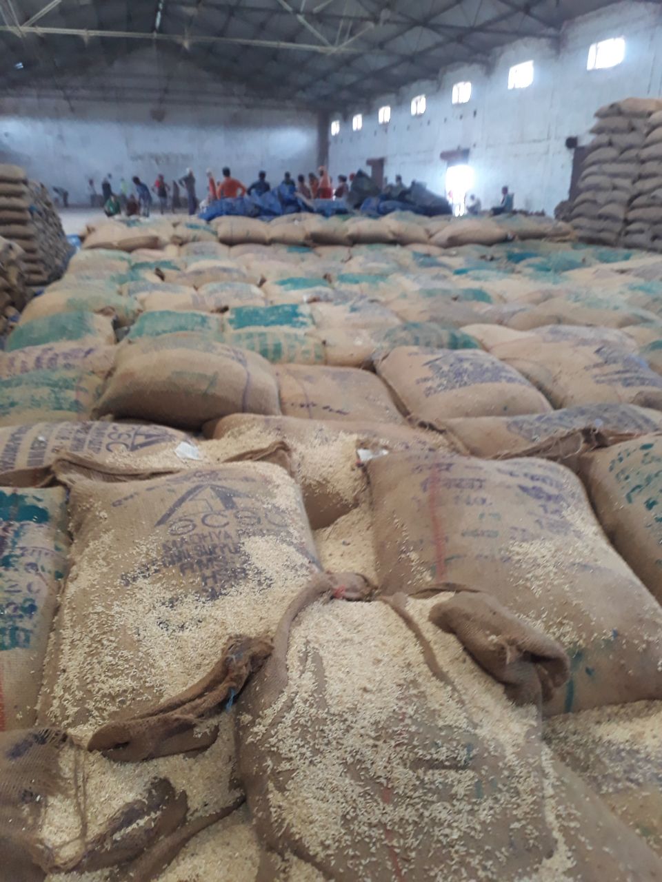 rice : 40 thousand quintal rice reject in warehouse
