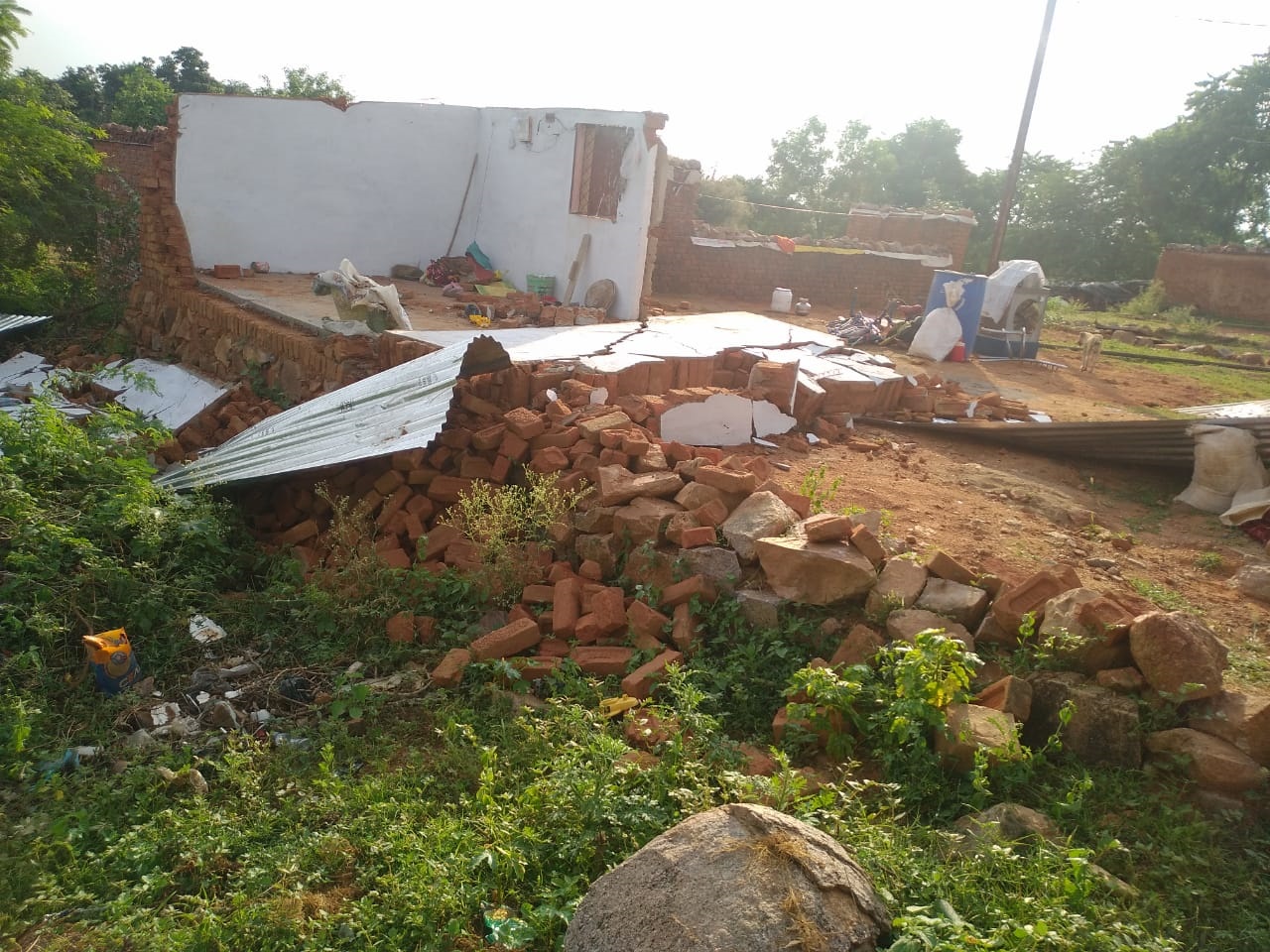  Homes encroached in forest land evicted by chance in 1 hour