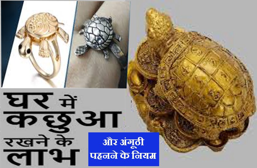 रंक को भी राजा बना सकती है कछुए की अंगूठी, बस पहनते वक्त न करें ये 4  गलतियां - Kachua ring upay kachue ki anguthi pahanne ke fayde benefits of tortoise  ring tvisu