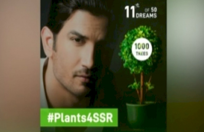 बहन श्वेता ने बताया-सुशांत के नाम पर 1 लाख से ज्यादा पौधे लगाए गए, अंकिता ने भी शेयर की तस्वीर