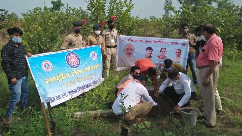 प्रधानमंत्री के जन्मदिन पर किया पौधरोपण, भाजपा ने मरीजों को बांटे फल