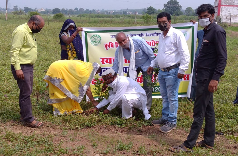 farmers planting saplings in Krishi Vigyan Kendra campus.