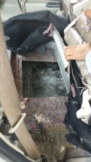 पहले भी हो चुकी है सोने की लूट, सुरक्षा को रखा था गनमैन