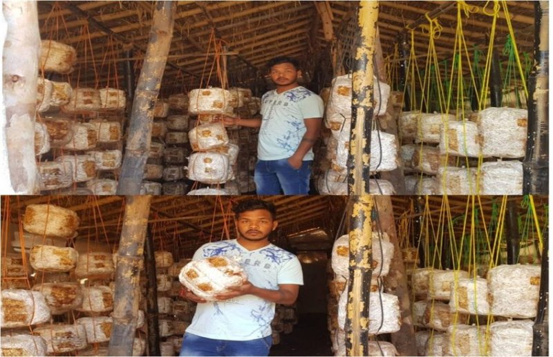 छत्तीसगढ़ के मशरूम उत्पादक युवा किसान सौरभ जंघेल को राष्ट्रीय सम्मान