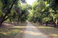 देर से ही सही पर घना में आया 485 एमसीएफटी पानी, विंटर सीजन बचा