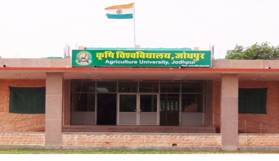AGRI UNIVERSITY---30 हजार हॉलर में मूंग-मोठ-बाजरे की 300 किस्मों पर प्रयोग, 12 का ट्रायल सफल