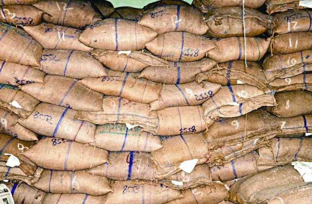 राशन की 250 दुकानों पर कागजों में आवंटित सैंकड़ों क्विंटल गेहूं व चना