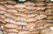 राशन की 250 दुकानों पर कागजों में आवंटित सैंकड़ों क्विंटल गेहूं व चना